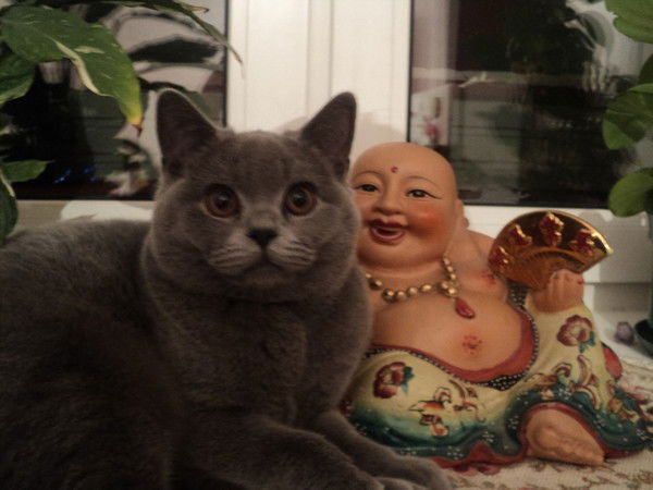 Лина Ступникова