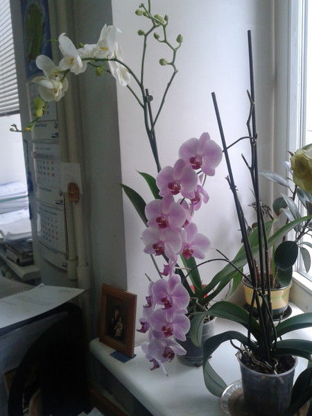 Юлия Зуграва