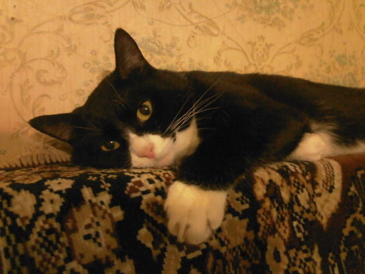 Наталья Бухвалова