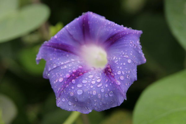 Наталья Бабич