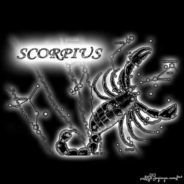 Алексей Арсентьев