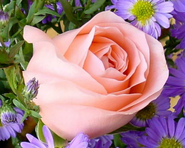 Юлия Скворцова