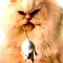 Сергей Авраменко