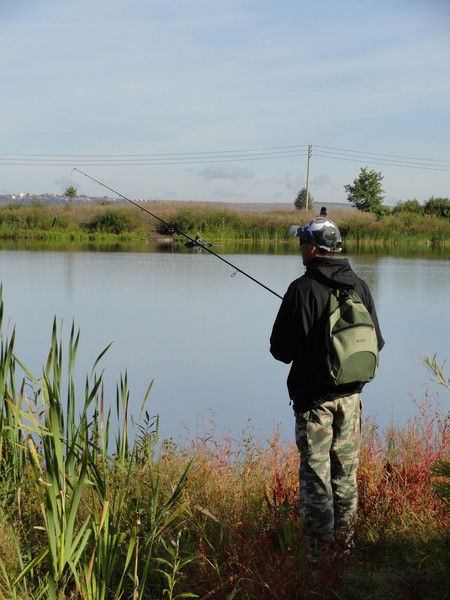 Александр Елисеев