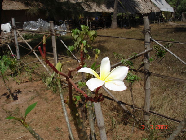 Марина Холкина