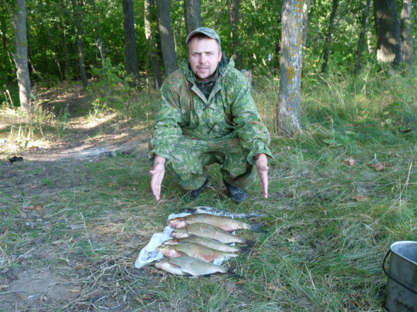 Александр Носков