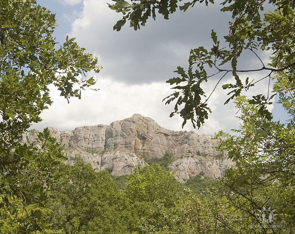 Акусира Судзуки