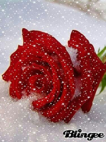 Гулназ Хасенова