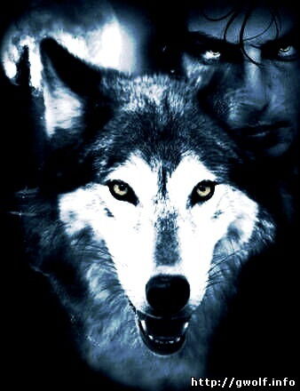 Валерий Борджаков