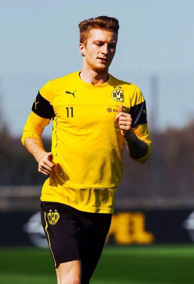 Максим Богомолов