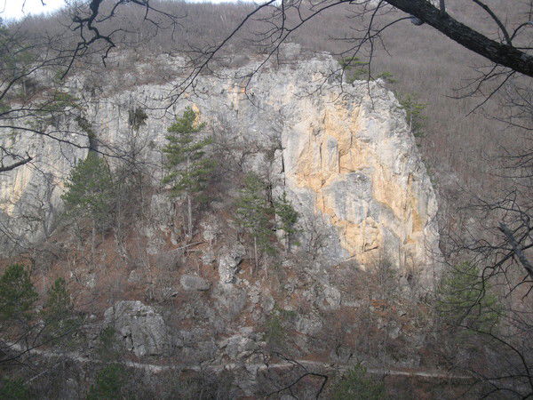 Иван Иванов