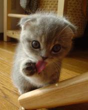 [..dana Евстифеева...]