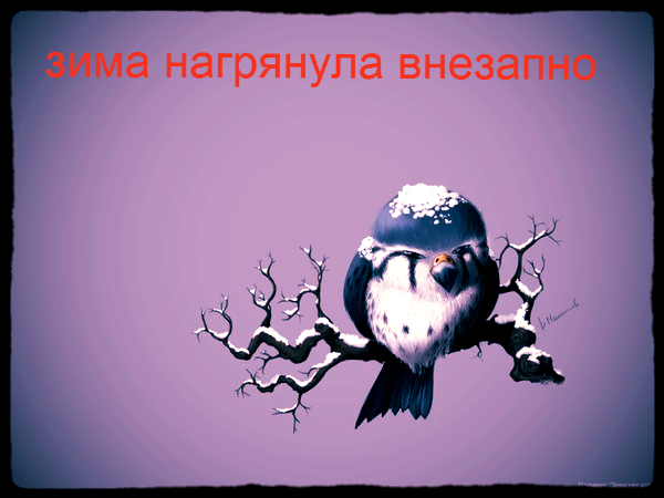 Ринат Ибдиминов