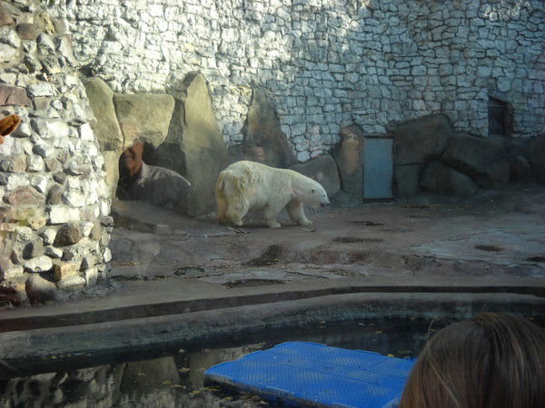 Елена Пономаренко