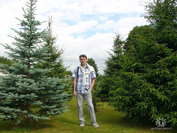 Роман Акатьев