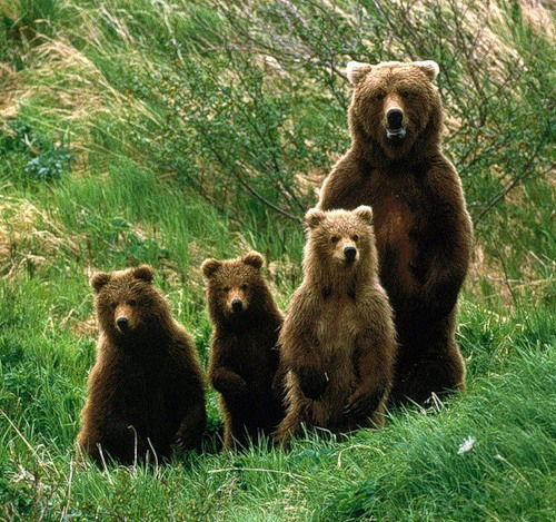 Александр Минчукович