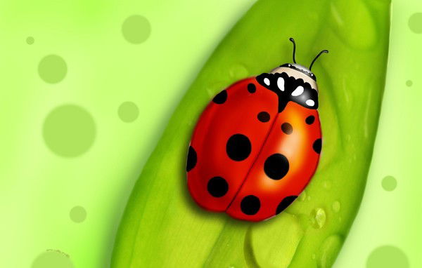 Анна Агеева