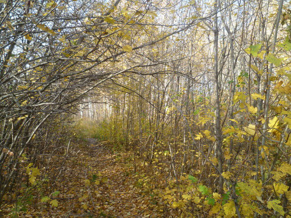 Вова Духтанов