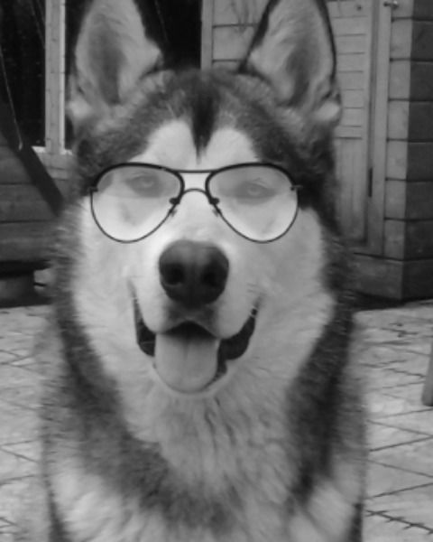 Иосиф Асатурян