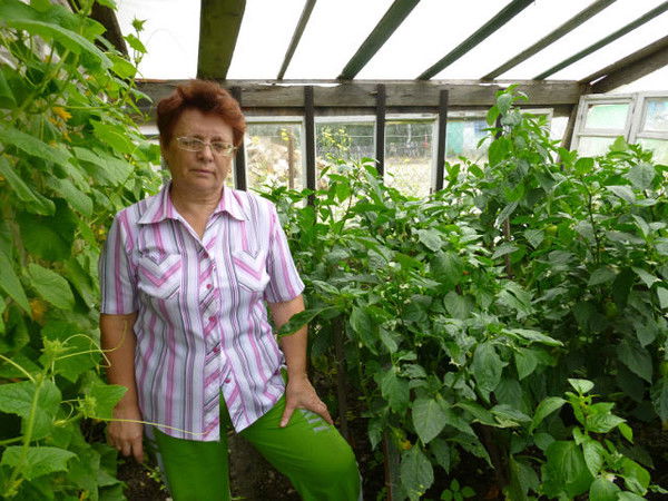 Зинаида Романова