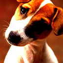 Алёна Новогорских