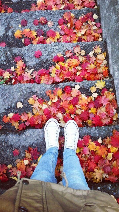 Ветта Ткаченко