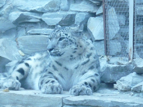 Марат Садрутдинов