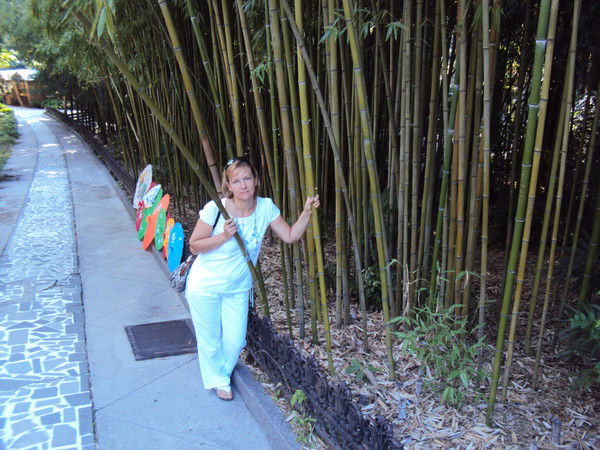 Ольга Шлотгауэр