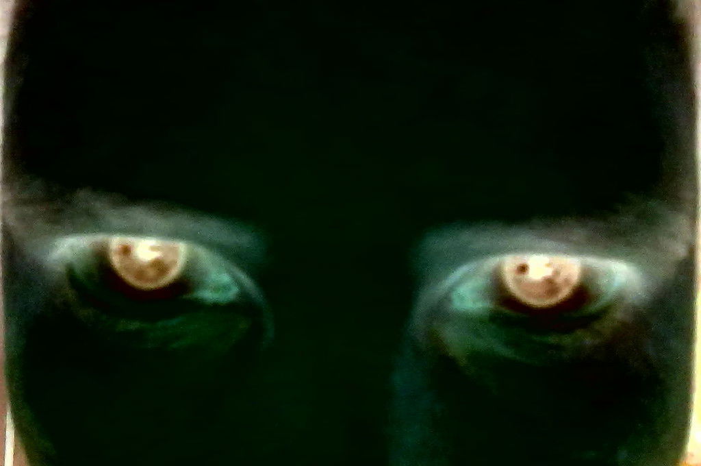 Антитролль