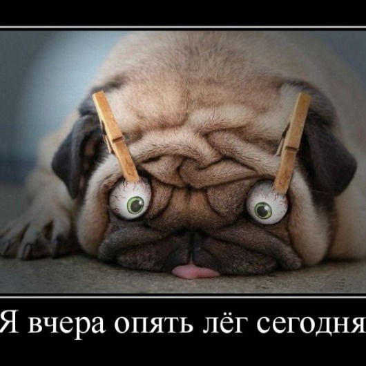 Александр Фабриков