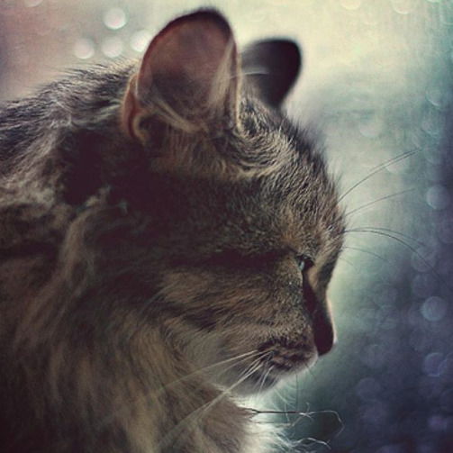 Любовь Гатиатуллина