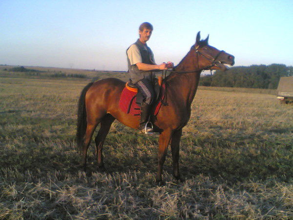 Сергей Литвиненко