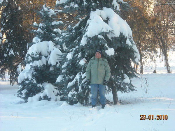 Alecsandru Zagornean