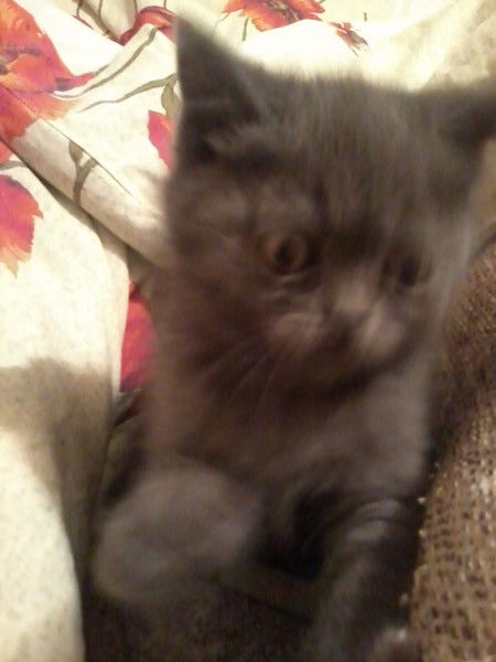 Виталий Поздняков