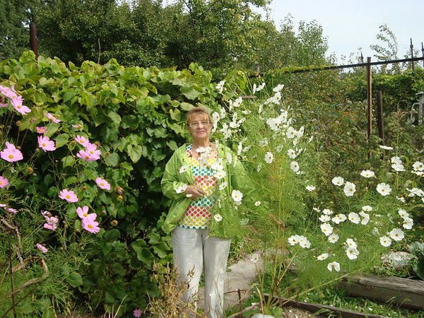 Тамара Халина