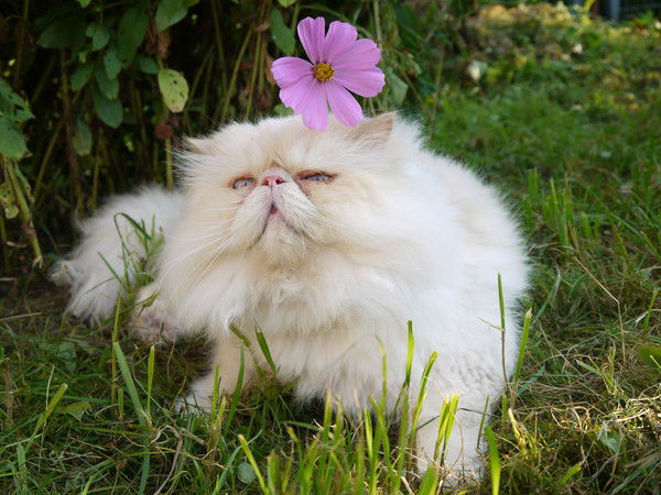 Елена Грудяева