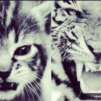 Дарья Пинчук