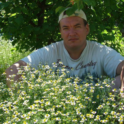 Денис Соловьёв