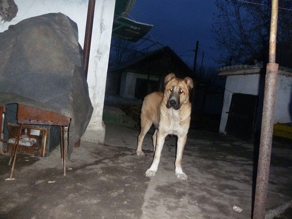 Юлия Линник