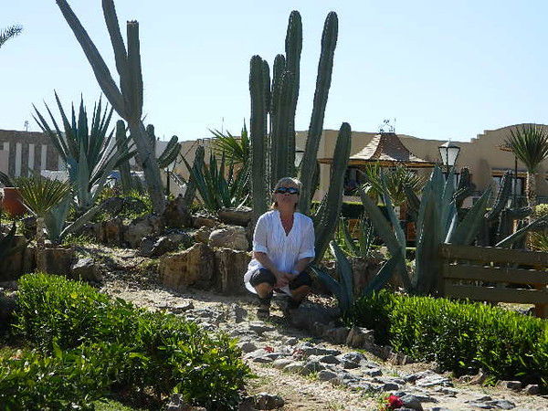 Татьяна Новикова