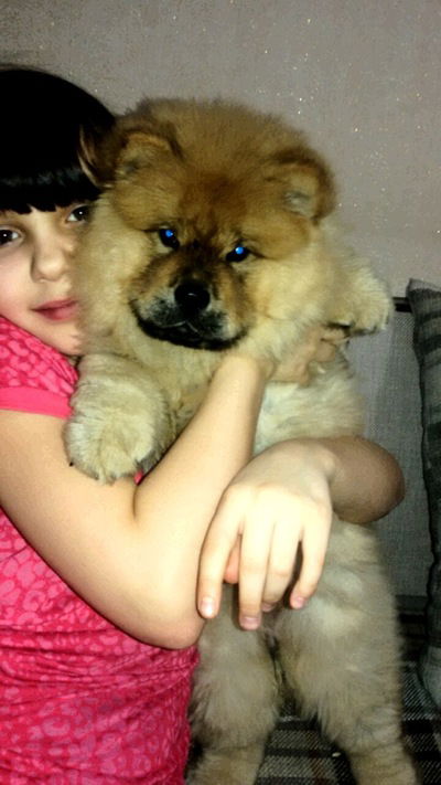 Виктория Молочкова