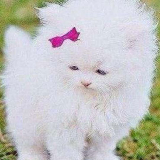 Мурад Каспийский