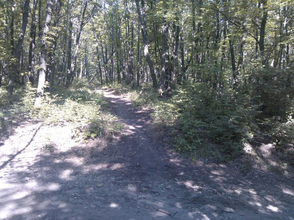 Ерадин Узакбаев