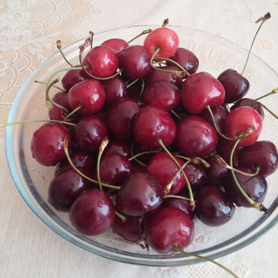 Ольга Вуколова