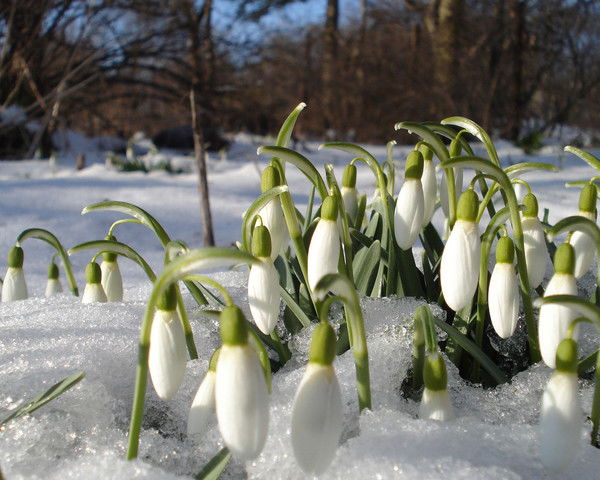 Лилия Юрьева