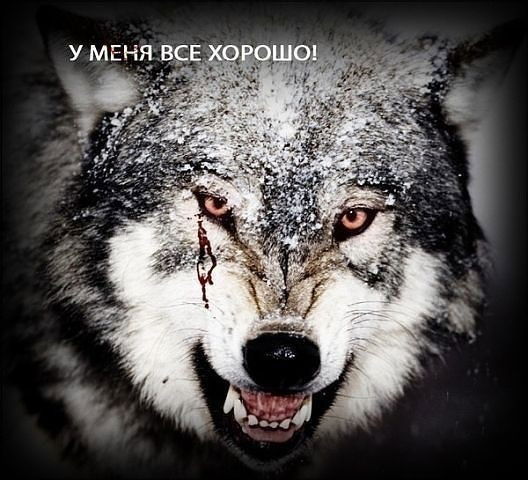 Александр Vokver