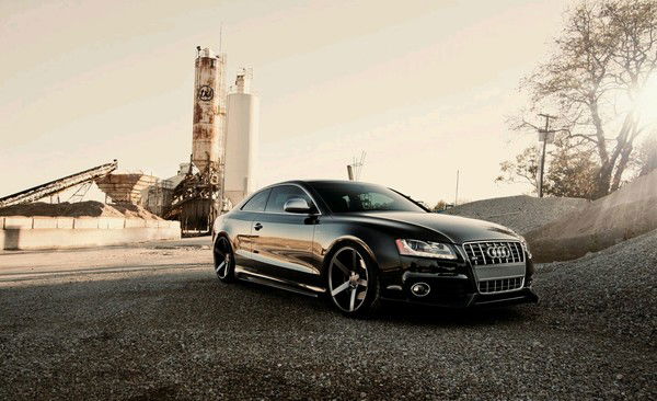 Данияр Сариев