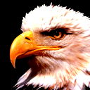 Максим Юдин