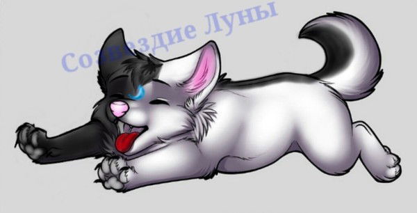 Мария Вайгент