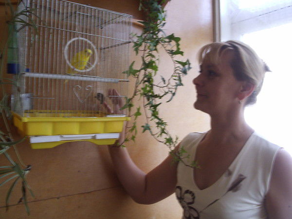 Елена Зацепина